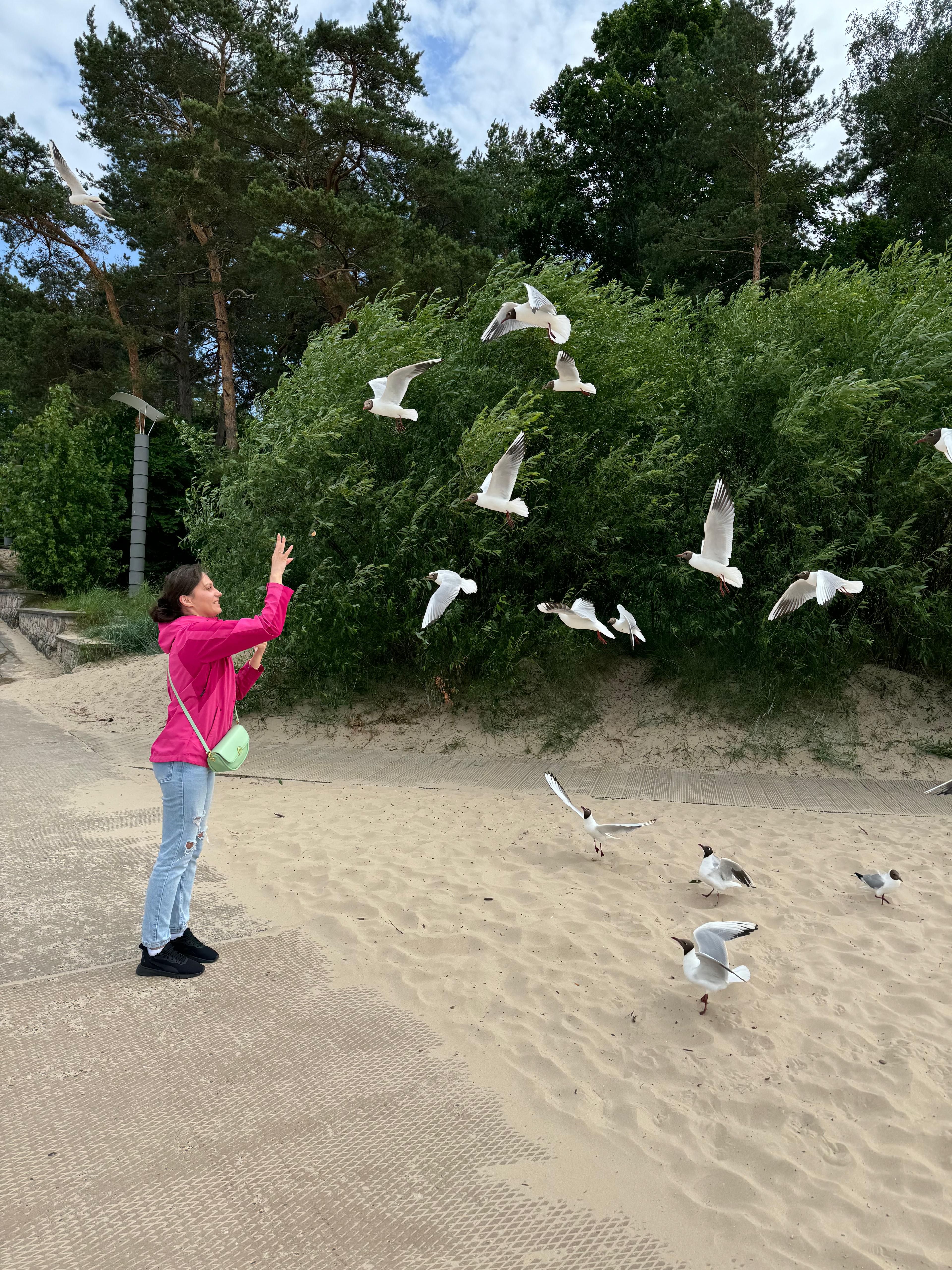 Jūrmala Half-Day Private Tour