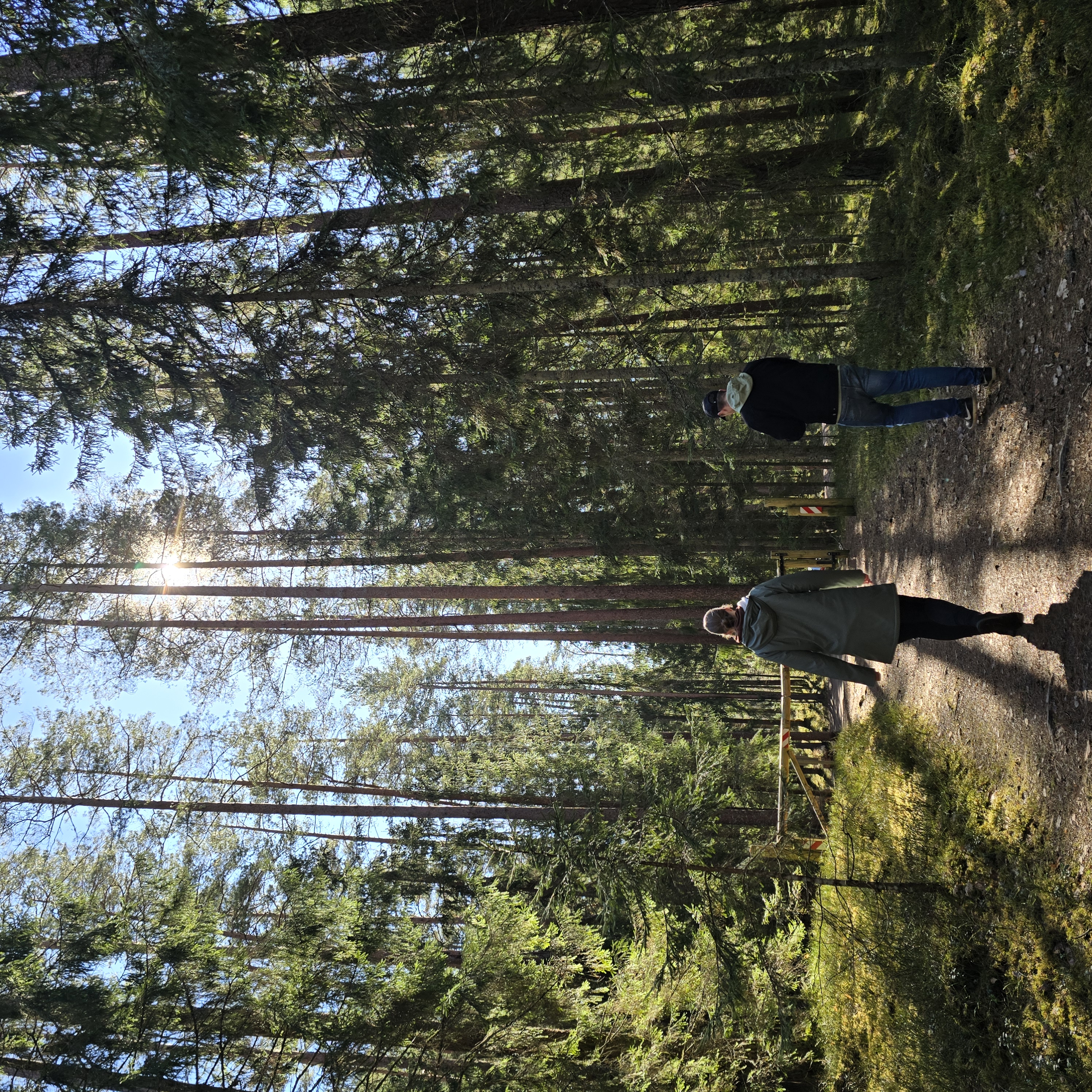 Sigulda Hidden Gems — Full-Day Private Tour — photo 6