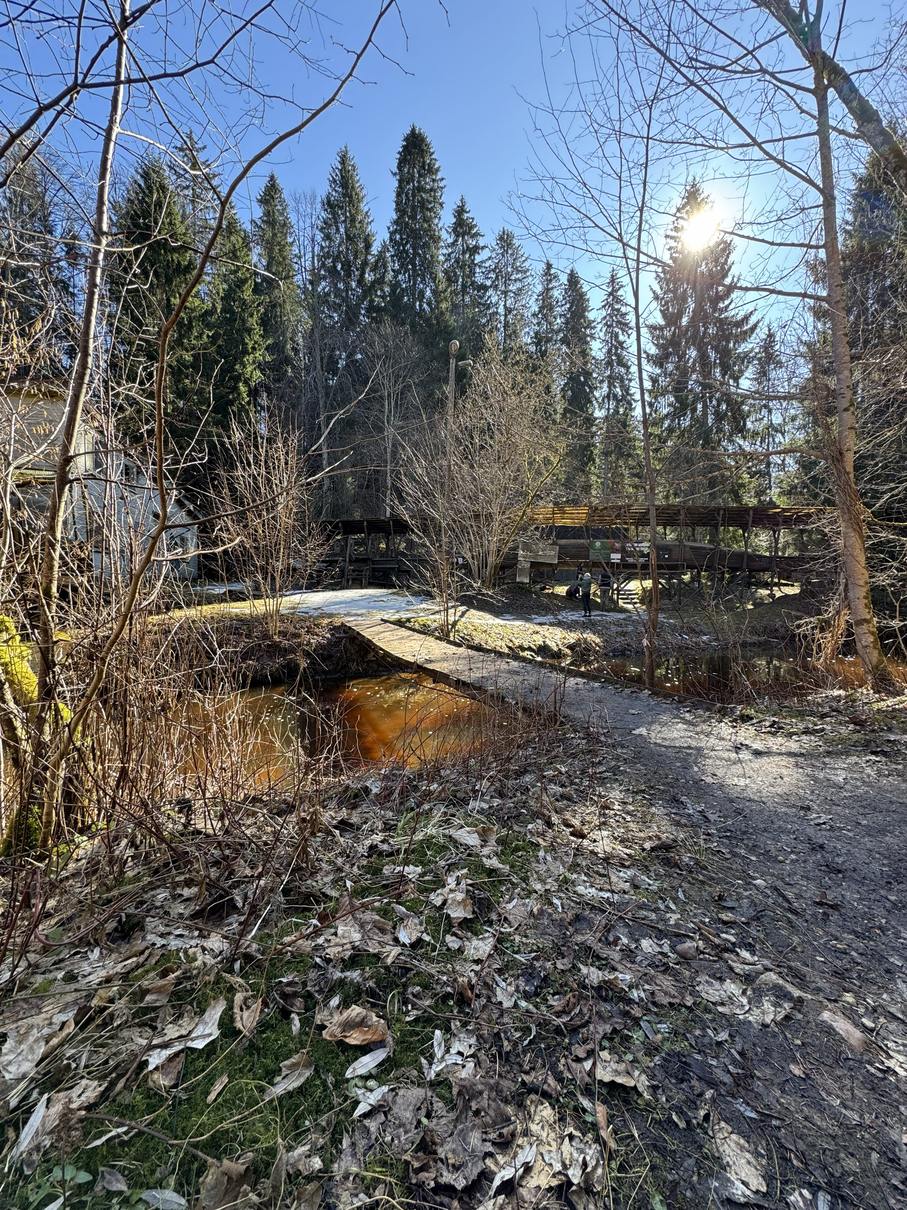 Sigulda Hidden Gems — Full-Day Private Tour — photo 14
