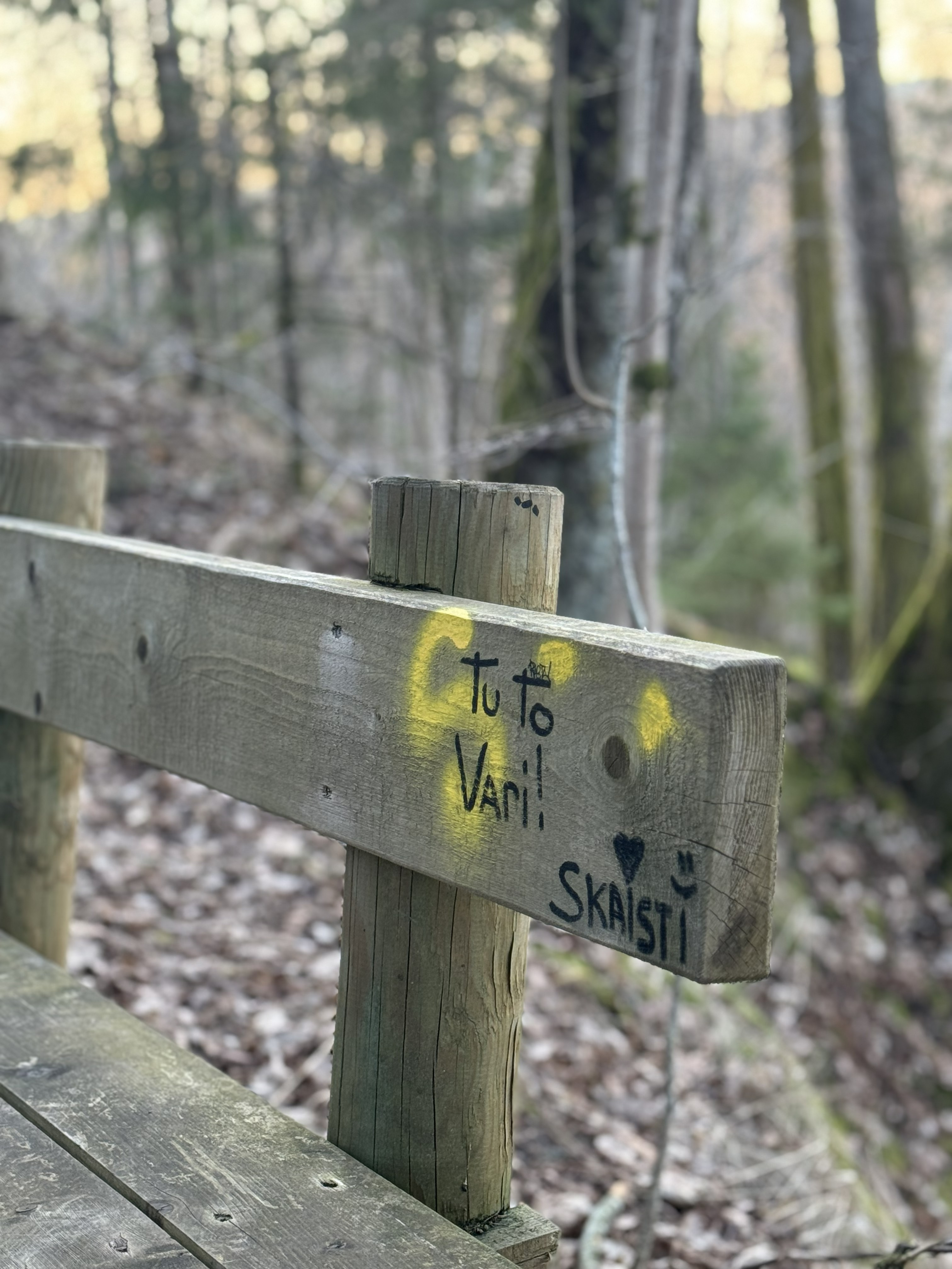 Sigulda Hidden Gems — Full-Day Private Tour — photo 18